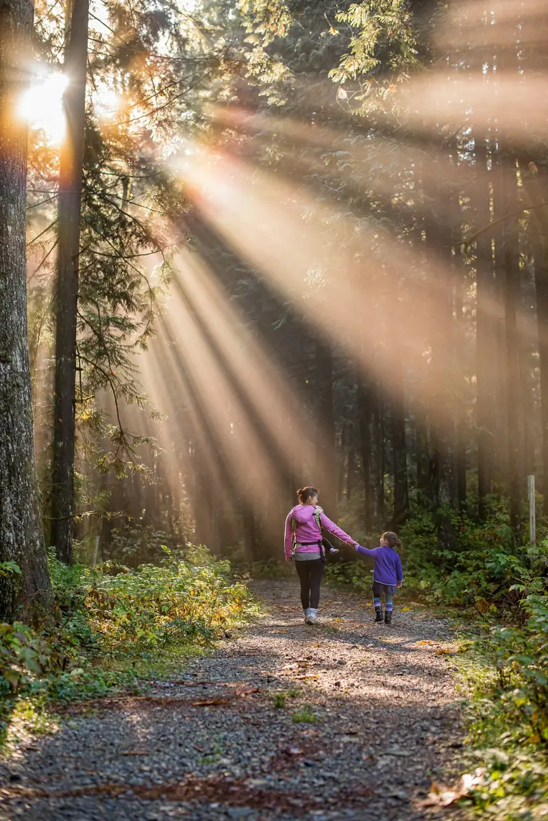 Madre e hijos caminando por un sendero del bosque con rayos de sol
